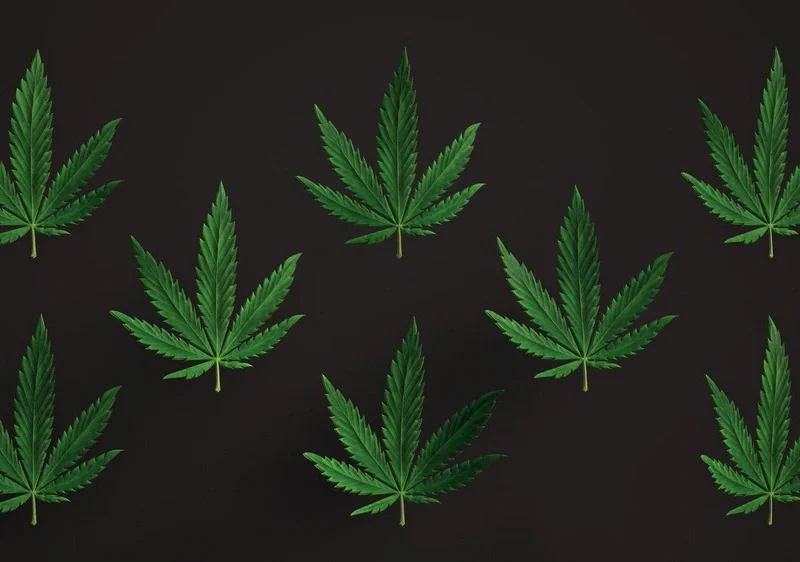 weed psychosis recovery