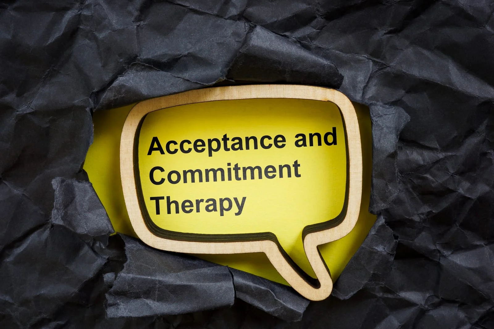 Acceptance and Commitment Therapy
